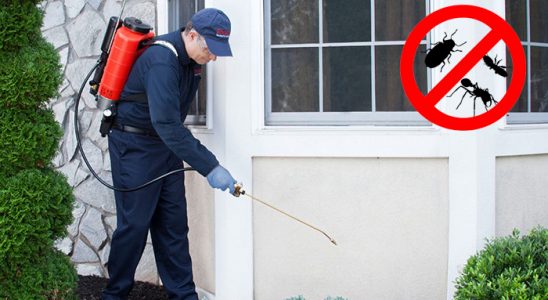 Gürsu Bit İlaçlama böcek ilaçlama ve haşere kontrolü — ilaclama-tr.com